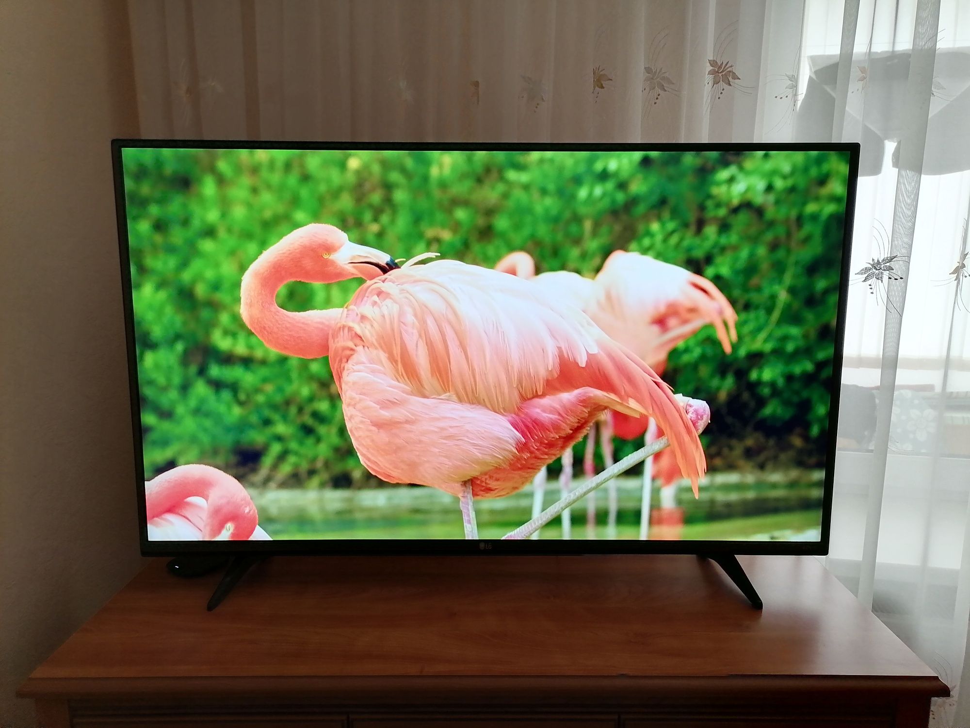 Телевізор LG 4K 55" + Xiaomi Box S 2nd Gen