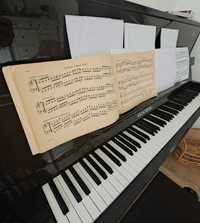 Nauka gry na pianinie/fortepianie/organach - dla dzieci i młodzieży
