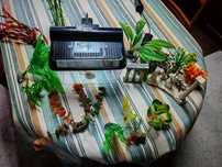 Aquário de 5 litros adornos e plantas artificiais