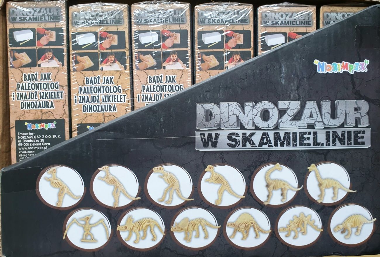 Dinozaury w skamielinie dino szkielet paleontologia