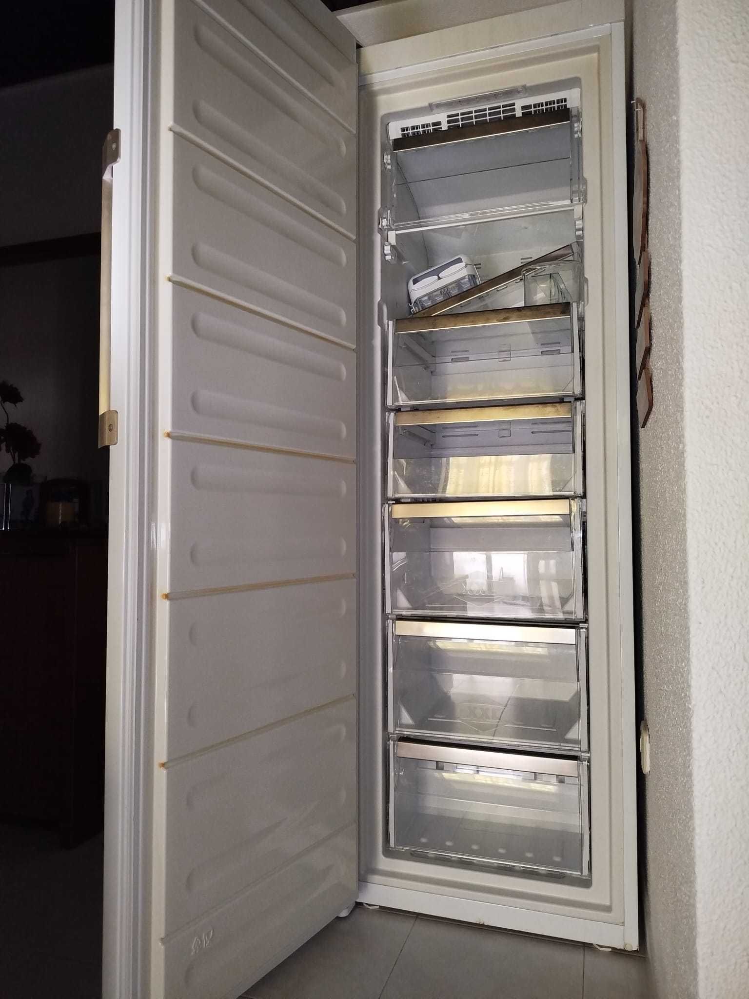 Arca Congeladora