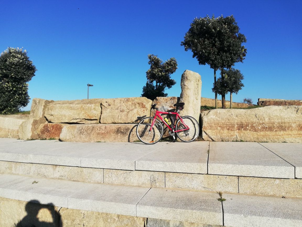 Bicicleta BERG roda 29