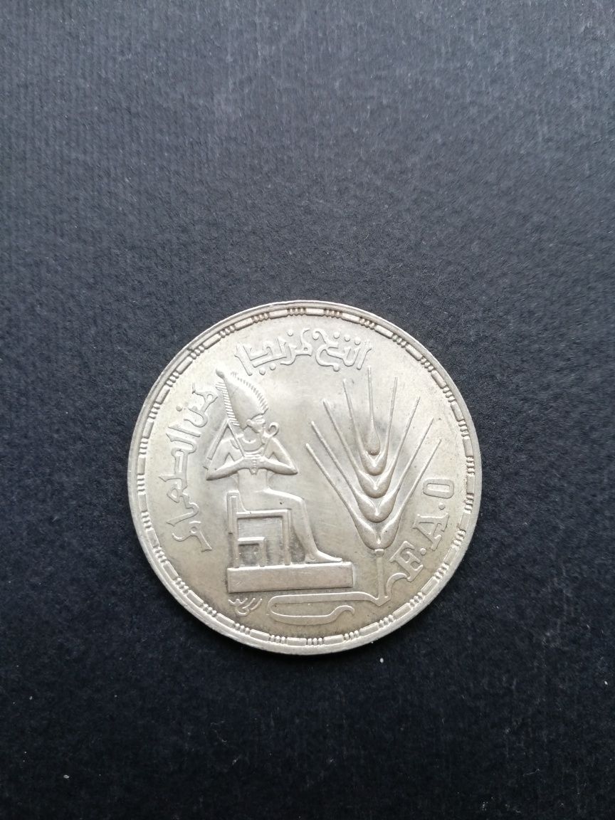 срiбнa монета 1 фунт Египет