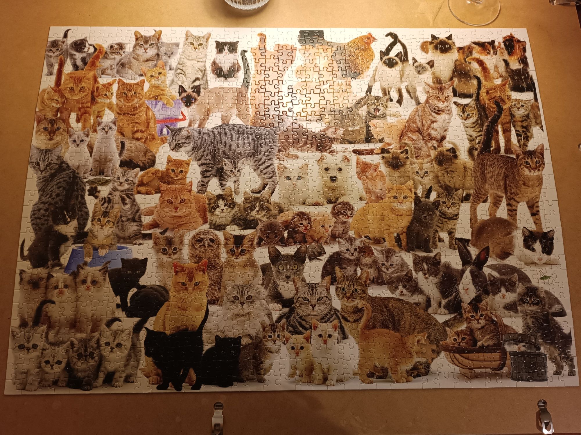 Puzzle koty 1000