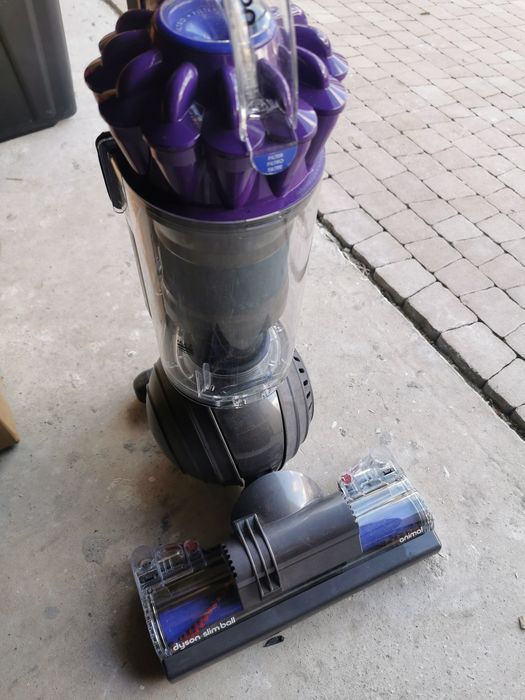 Dayson slim ball Animal