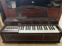 Organy  electric chord organ Magnus