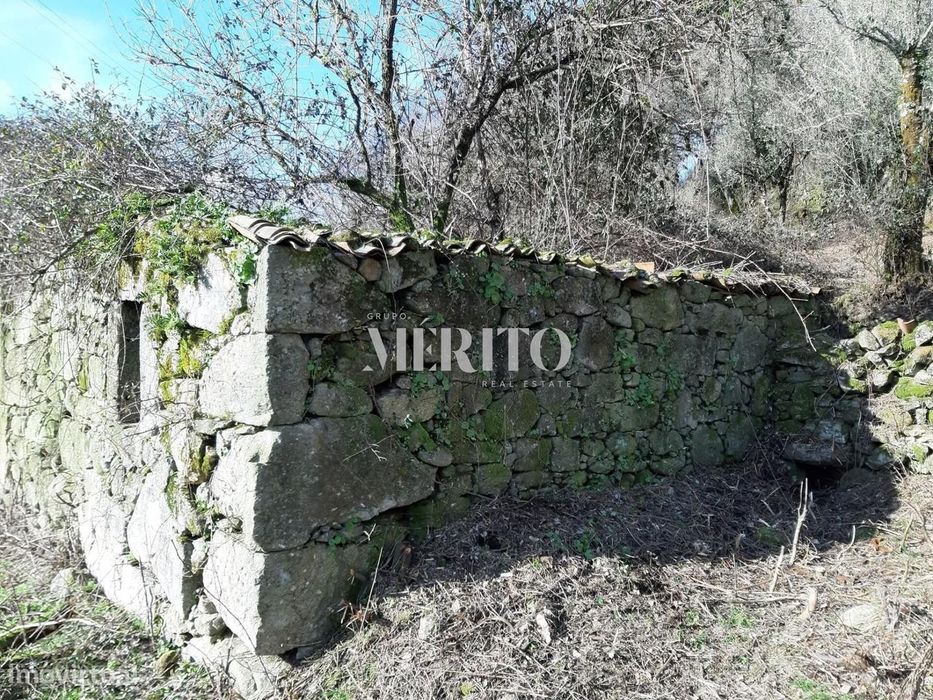 Terreno com Viabilidade Construtiva