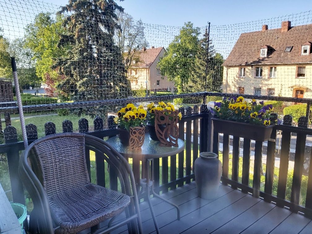 Sowa - lite drewno sosnowe