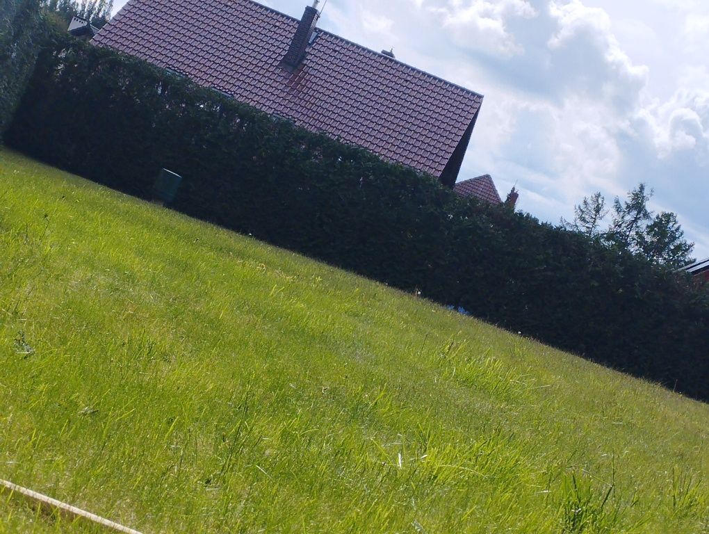 Koszenie trawy Dzień dobry pomorskie Tczew 150km
Oferujemy państwu usł