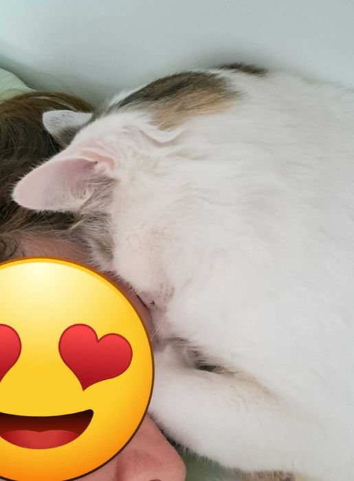 3 letni Fuks wypatruje wymarzonego domu