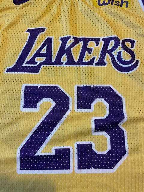 Koszulka koszykarska Los Angeles Lakers LeBron James Nike rozmiar XS