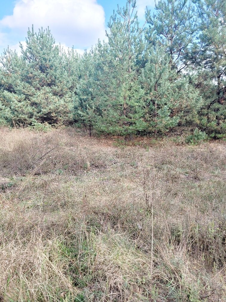 Земельна ділянка, житлова забудова село Пряжів
