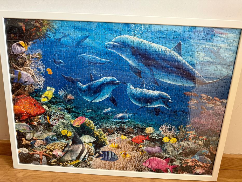 Puzzle 1000 com moldura, mar golfinhos