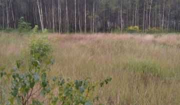 Warmia; działka rolna/siedliskowa z warunkami zabudowy