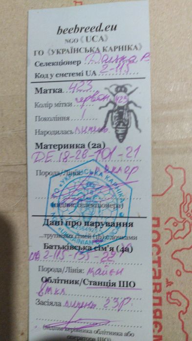 Матки карніка  плідні