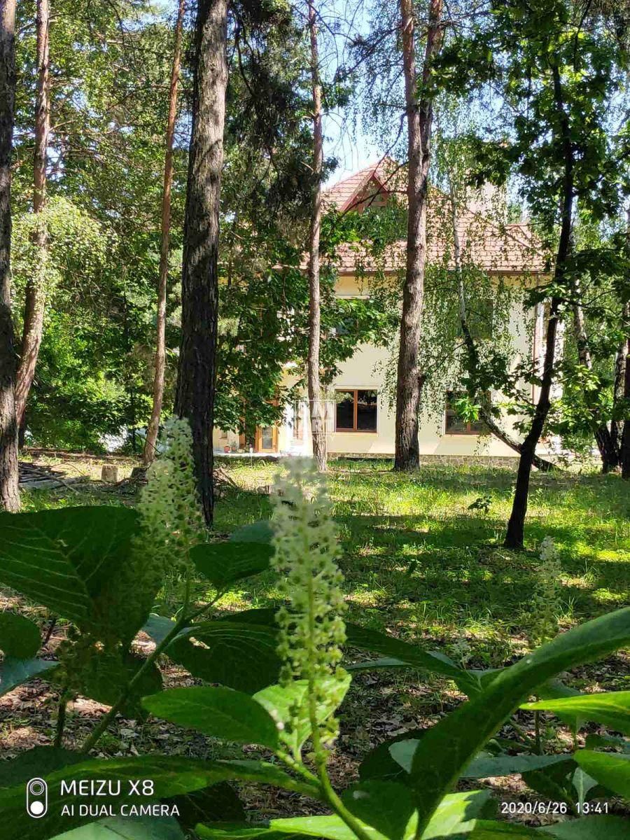 Особняк в містечку "Домеліта"