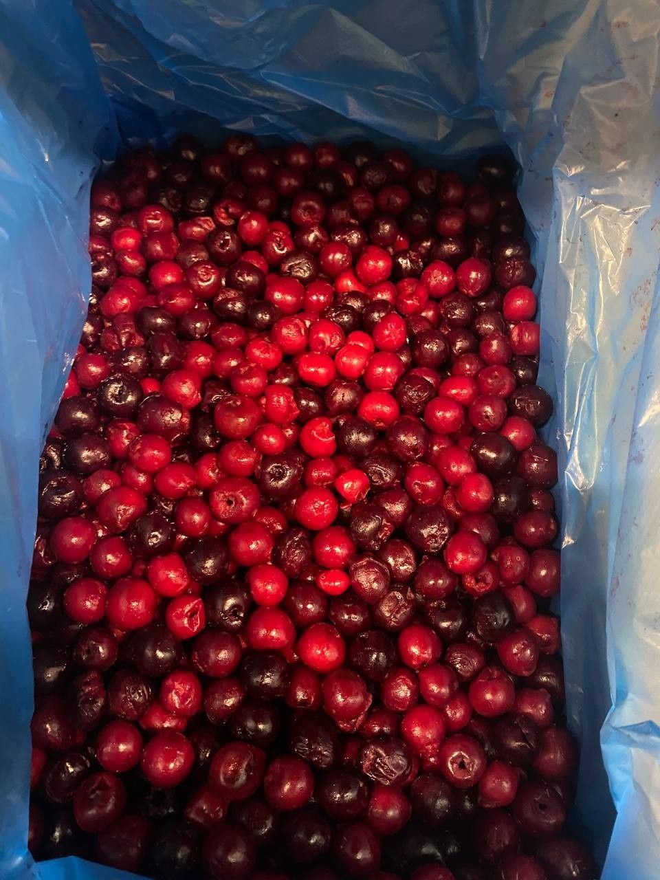 Продам Вишню заморожену,  б/к, від 10 кг.