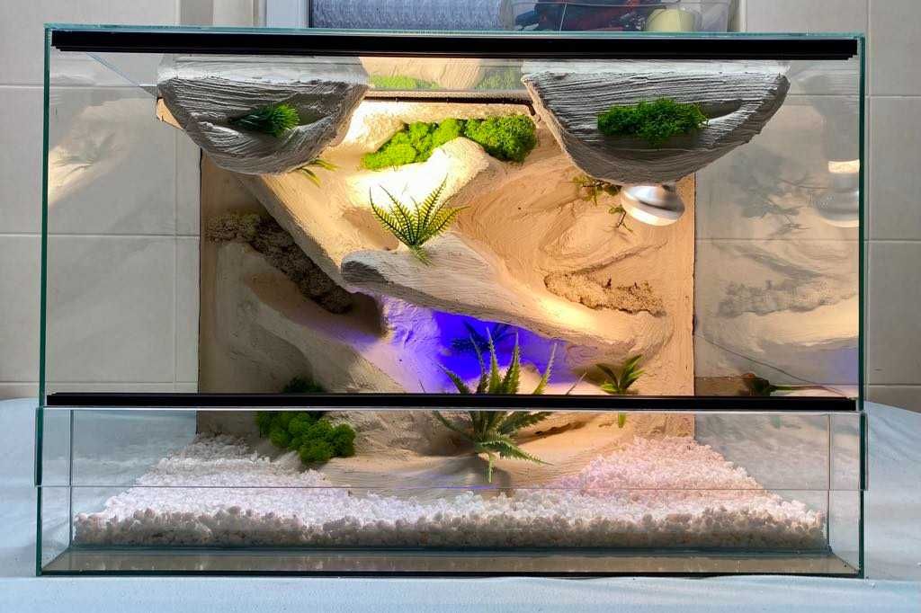 Nowe Terrarium 60x40x40 Gekon Lamparci, Jaszczurka