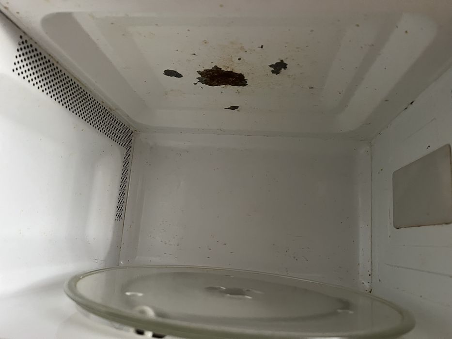 Мікрохвильова піч