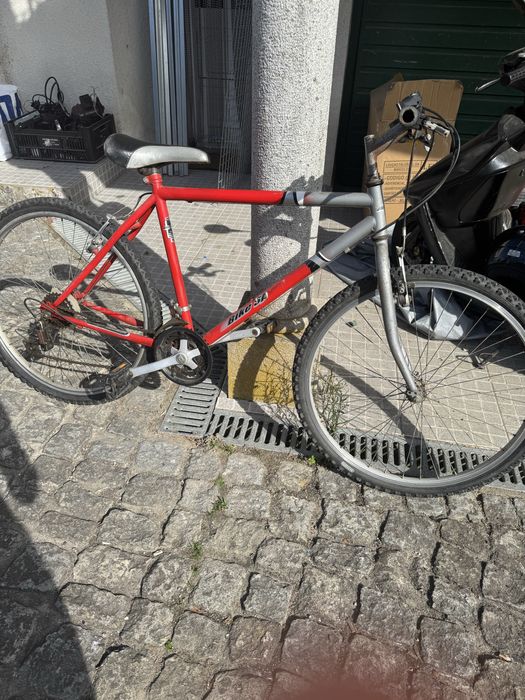 Bicleta jovem/adulto