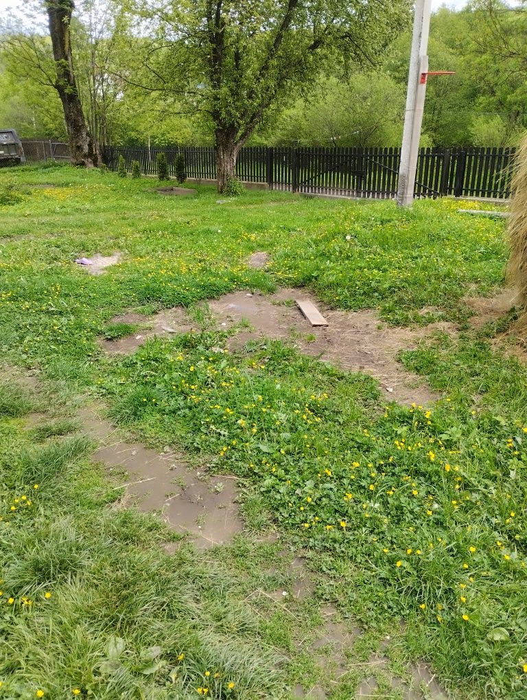 Продається будинок Ясіня(Свидовець)