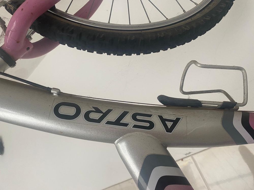 Bicicleta - Bicicletas Coelho