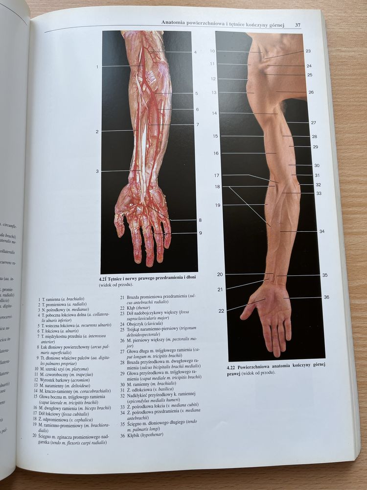 Fotograficzny atlas anatomii człowieka