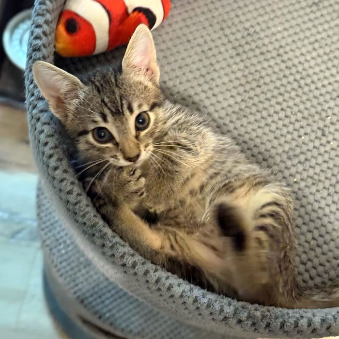 Котя, милый мальчик ждет своего человека