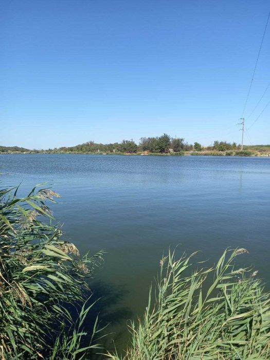 Продам дом с участком в пригороде Одессы