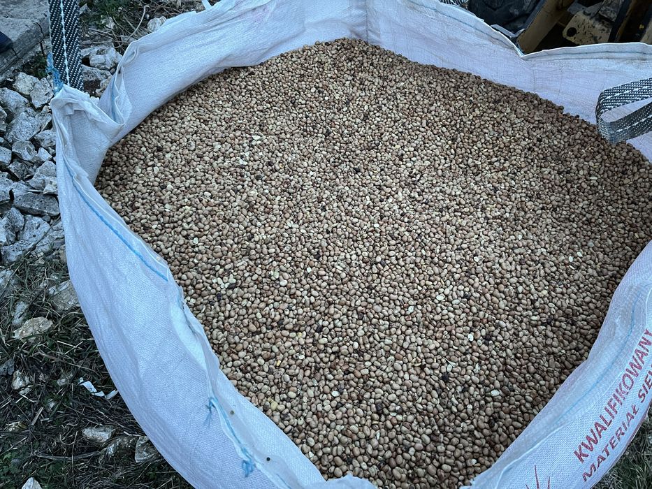 Bobik czyszczony ladny