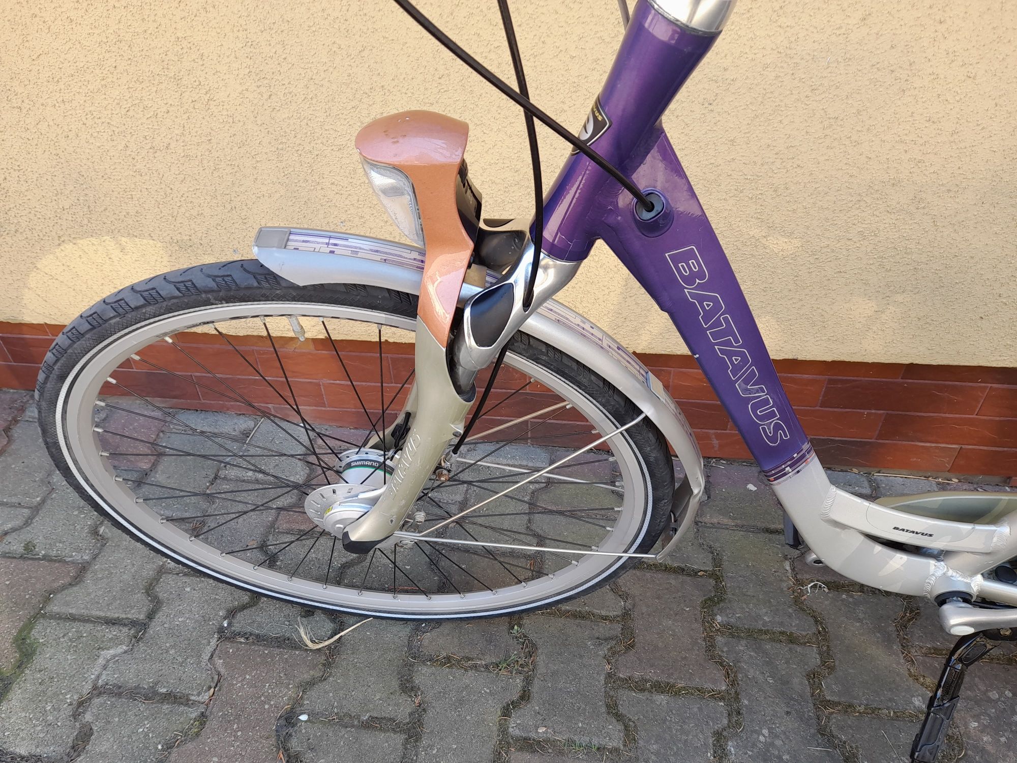 Rower damka Batavus Intermezzo.