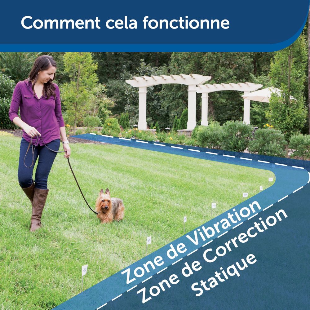 Petsafe cerca com fio para caes