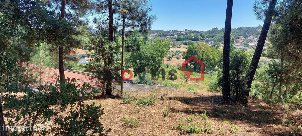 Terreno para construção com catorze mil metros quadrados !