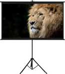 Duży EKRAN PROJEKCYJNY na statywie 200X200cm 112" HDREADY 4K