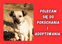 ALIS - marzy o nowym domu i rodzinie :)