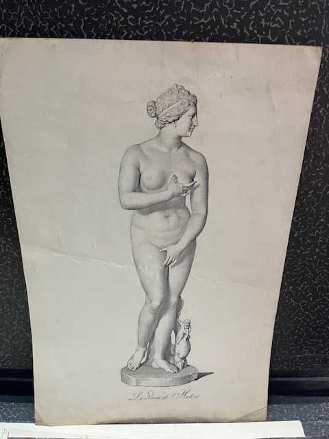 Gravura de Venus de Medicine