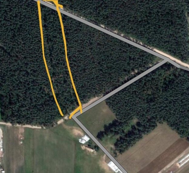 Sprzedam las iglasty, 1.11ha , ok 60 letni