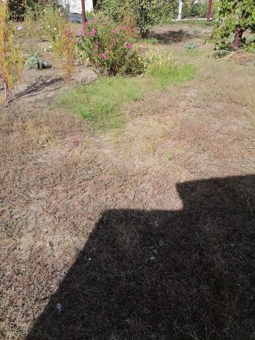 Продам дачный участок ПЗТО