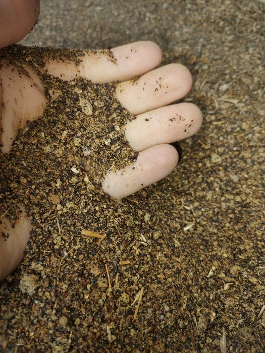 DDGS Kukurydziany, Śruta Sojowa, Śruta Rzepakowa