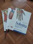 Atlas Anatomii Człowieka Sobotta