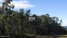 Venda de terreno florestal, Vila Franca, Viana do Castelo