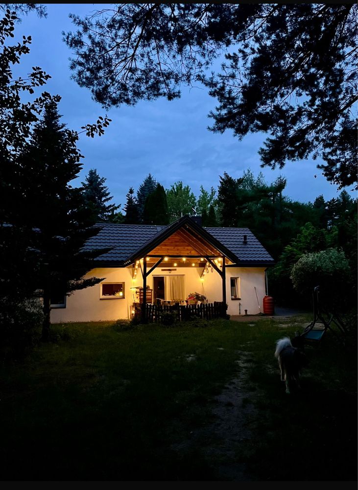 Do wynajęcia dom wolnostojacy z piękną, zalesioną działką