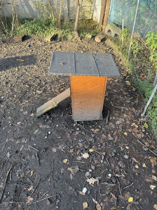 Budki legowe dla kaczek