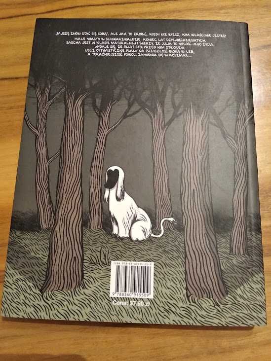Sascha Hommer "w cztery oczy" komiks