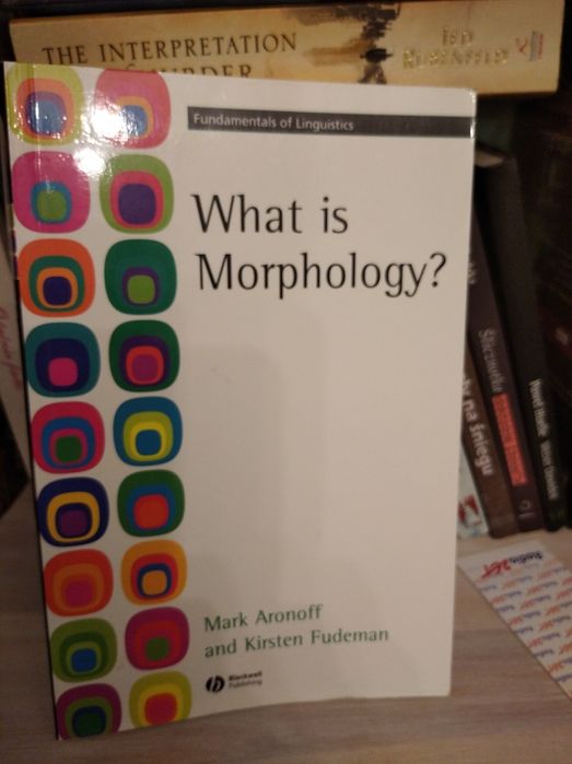What is morphology?