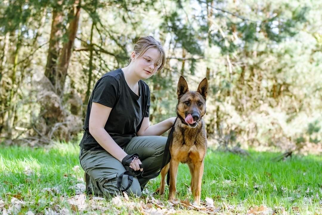 Cudowna sunia w typie owczarka belgijskiego szuka domu!