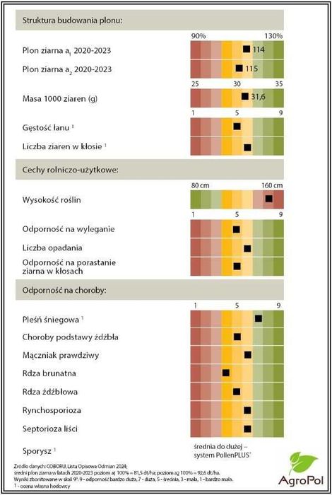 Żyto KWS IGOR - Plon i Zdrowotność ( Gilmor Serafino Fidagor Erebor )