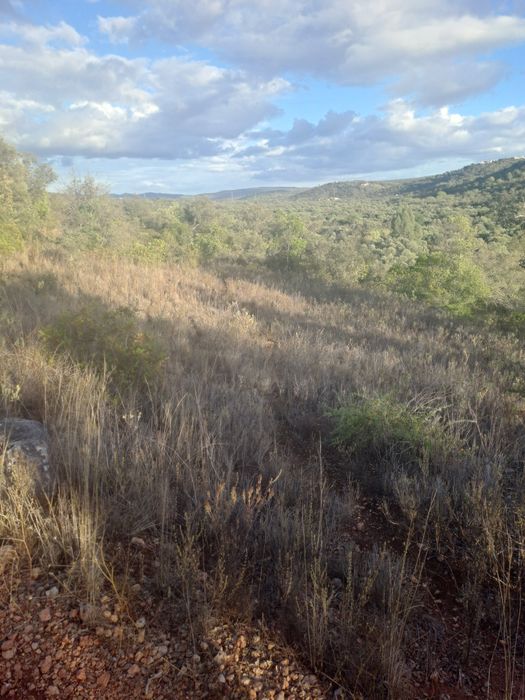 Terreno rustico com bonita vista