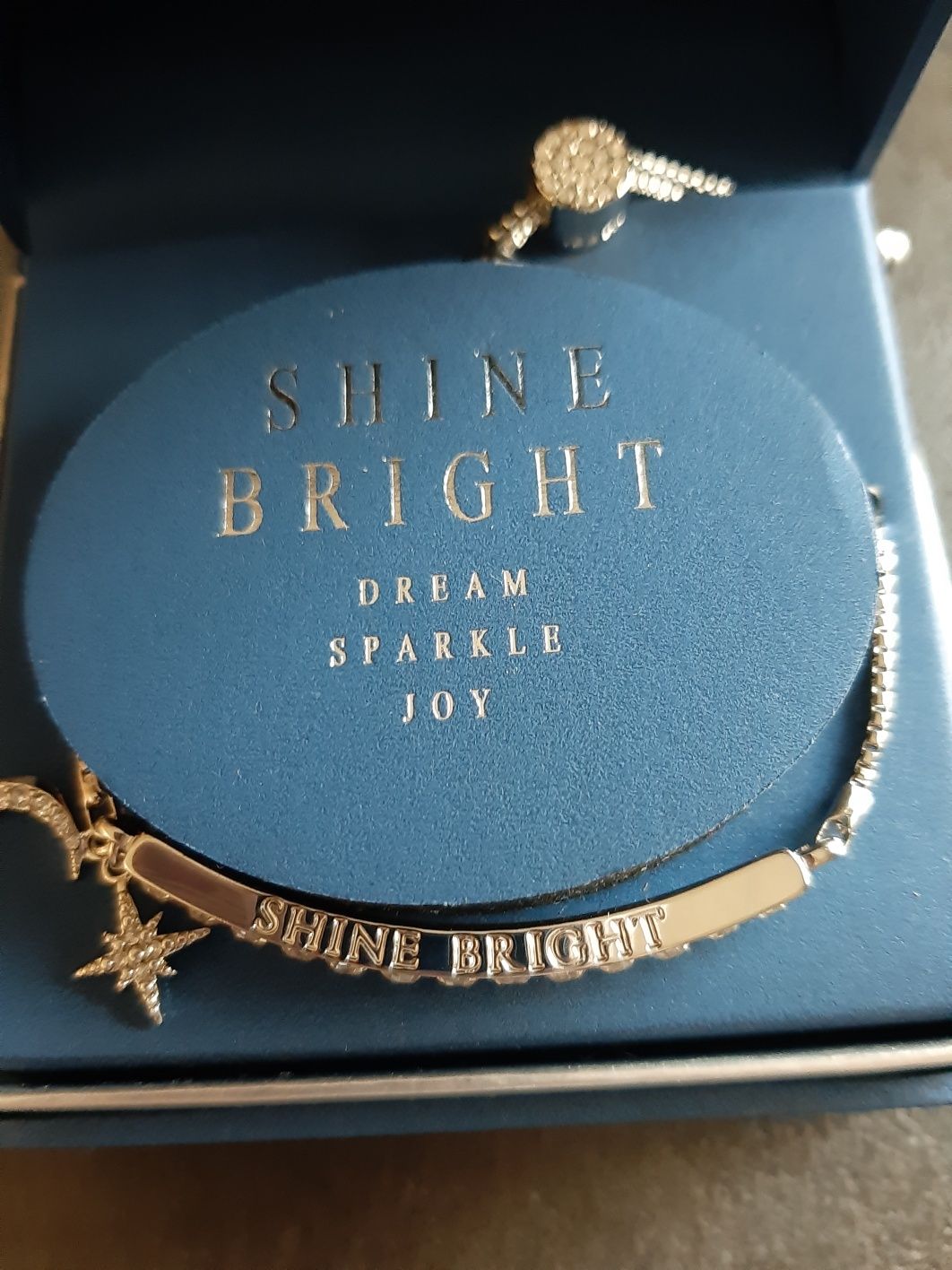 Bransoletka shine bright stal kolekcja tkmaxx Tk maxx brillance regula