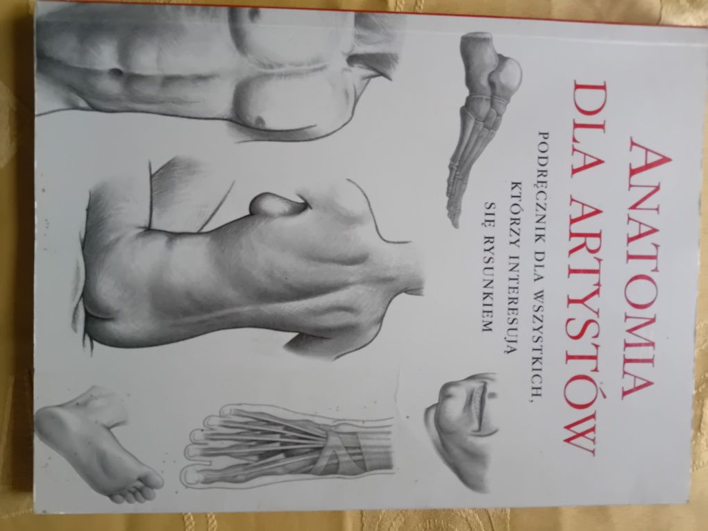Anatomia dla artystów  wydawnictwo Parragon